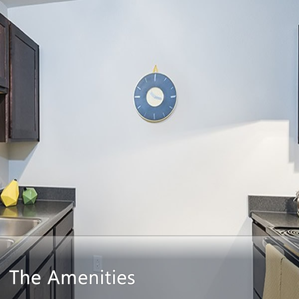 Features & Amenities