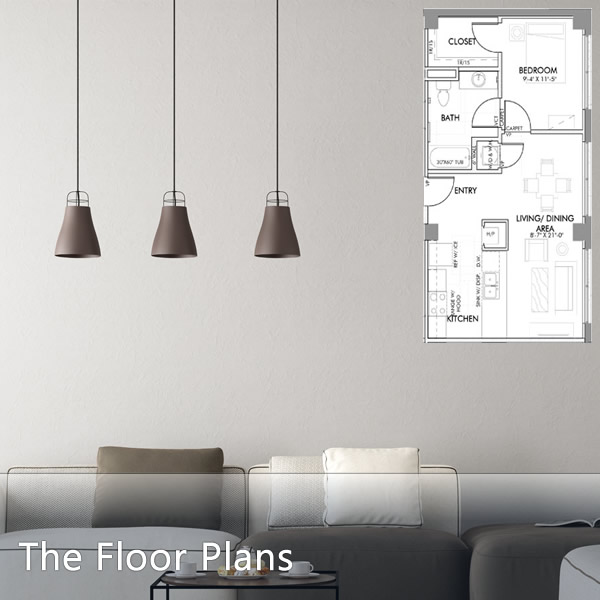 Spacious Floor Plans